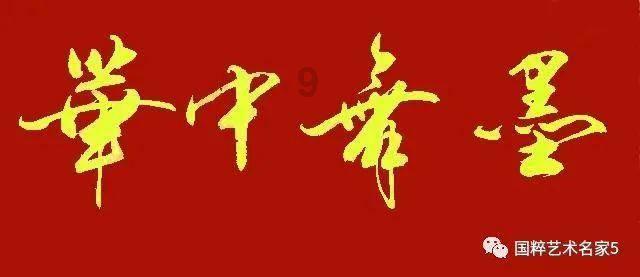 给奶奶养的小猫咪被送回来后,被网友称为“泡发的海参”!