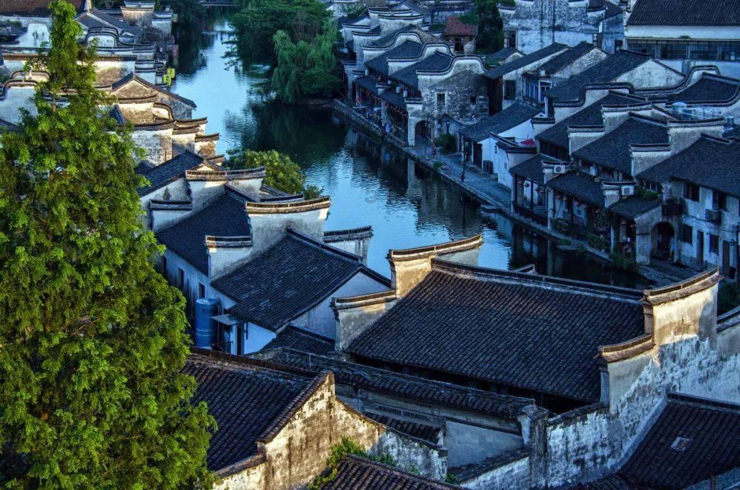 心理测试：你觉得哪只凤凰是浴火重生的，测你婚后财运会暴涨吗